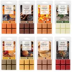 SALKING Herbst Duftwachs Wax Melts für Duftlampe, 100% Sojawachs Raumduft Duftkerze, Wax Melts für Kerzen Wärmer, Kürbisgewürz und Zimt Düfte Geschenk Set für Halloween, Weihnachten, 8 Düfte