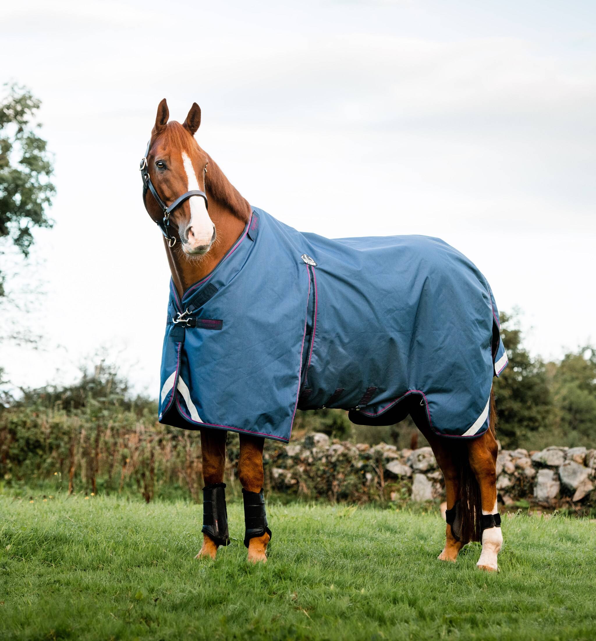 Rambo Optimo T/O Outer Only - Navy/Burg, Horseware