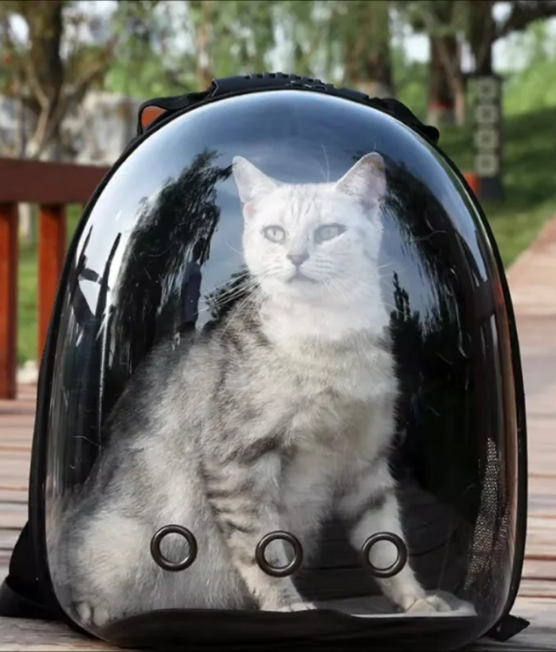 Portable Breathable Pet Backpack, stylish space capsule design, comfortable carrying for cats on the go.