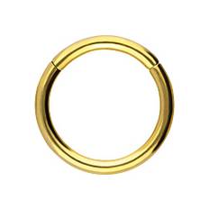 PIERCINGLINE Segmentring Clicker aus Chirurgenstahl - Piercing in Goldfarben - Größe: 0,8 mm Stabstärke | 5 mm Innendurchmesser