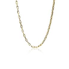 Blomdahl Guld Medium Link 52 cm - 33-23953-00