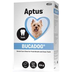 APTUS Bucadog Dental care