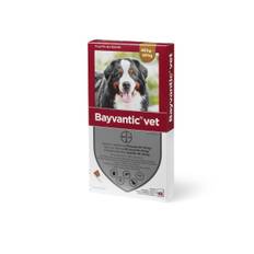 Bayvantic Vet Hund 40-60 kg.