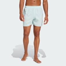 Solid CLX Short-Length badebukser - Halo Mint / Black