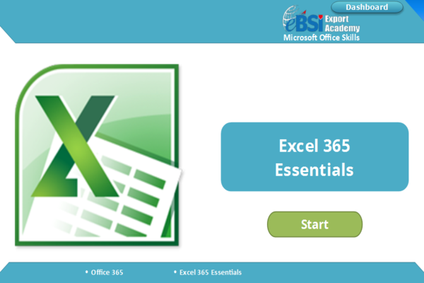 Excel 365 Essentials