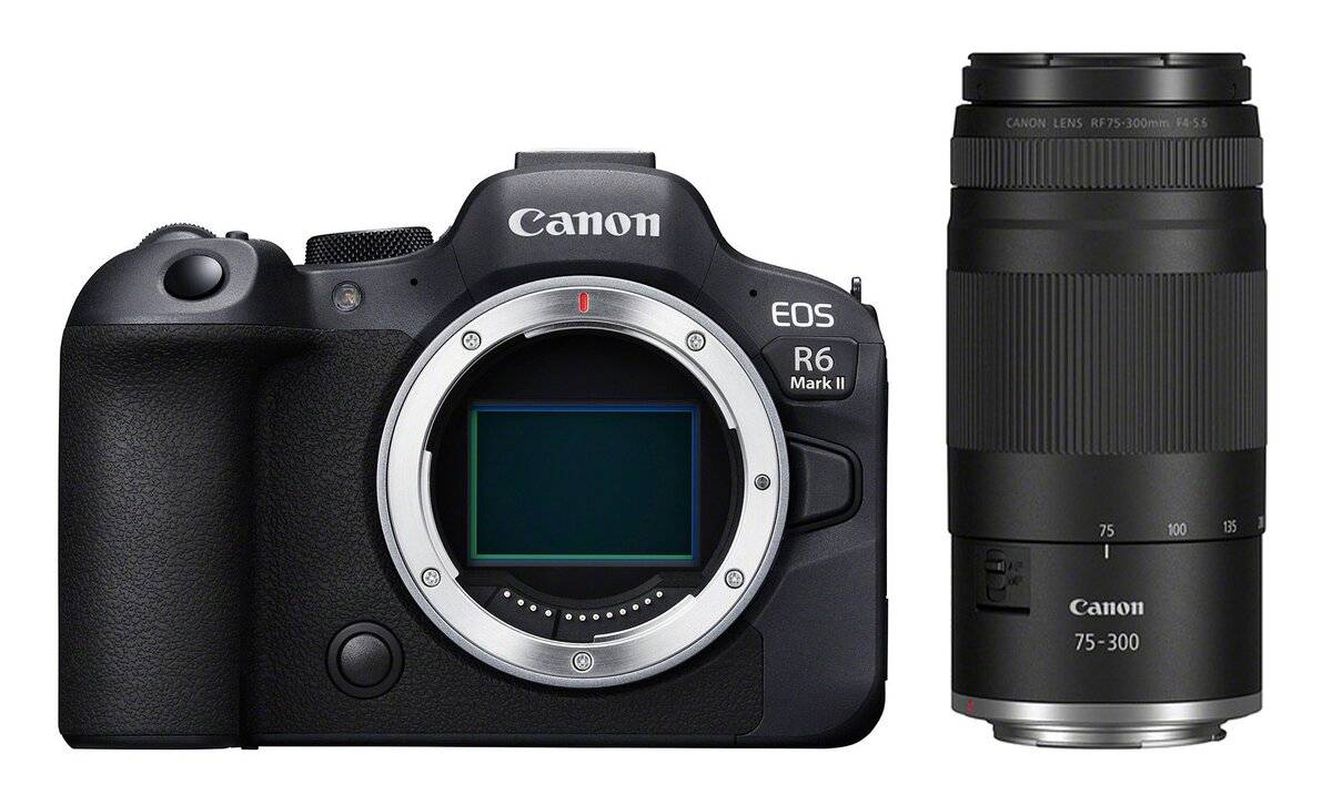 Canon EOS R6 Mark II + RF 75-300mm f4-5.6