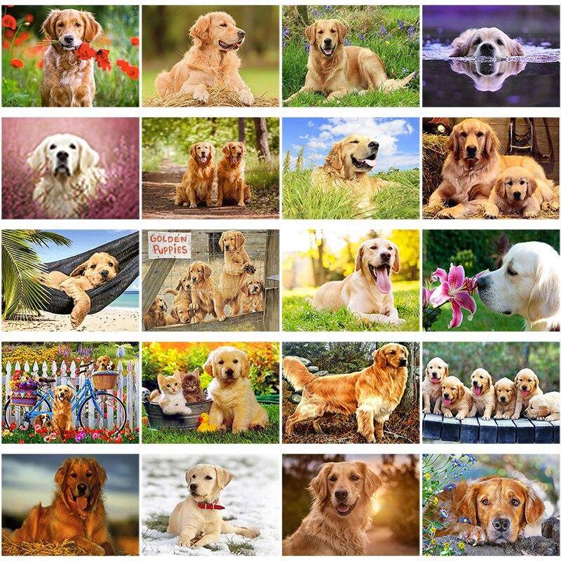 Gör-det-själv-hund 5D-diamantmålning hel rund borr Djur Diamantbroderi Golden Retriever Korsstygn Väggkonst Heminredning