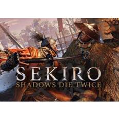 Sekiro: Shadows Die Twice (PC)