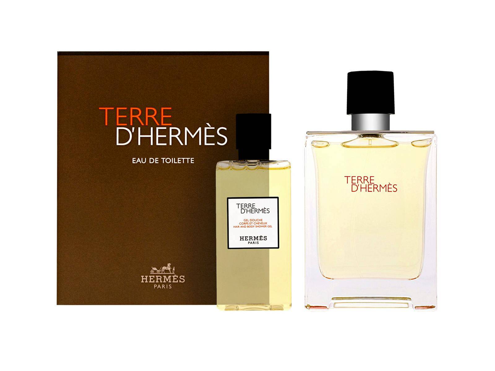 Hermes Terre D'hermès Set 80 ml + 100 ml