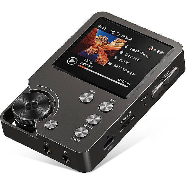 HiFi MP3-spelare, Förlustfri DSD Högupplöst Digital Ljudmusikspelare, Högupplöst Bärbar Ljudspelare med 64GB Minneskort grå färg