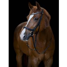 HorseGuard Tine Anatomiskt Träns - Svart (PONY)