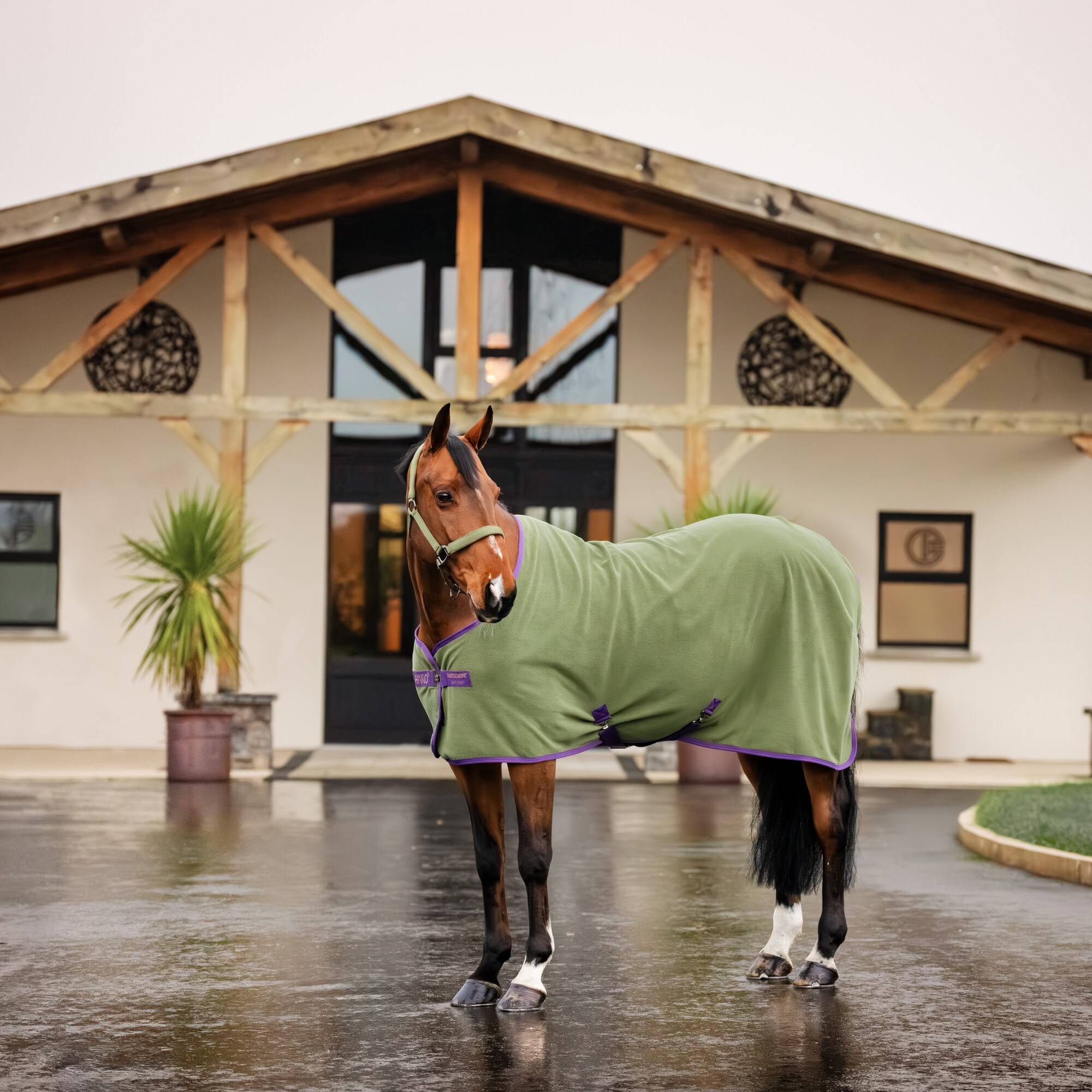 Amigo Fleece Cooler - Bramble/Winterberry, Horseware