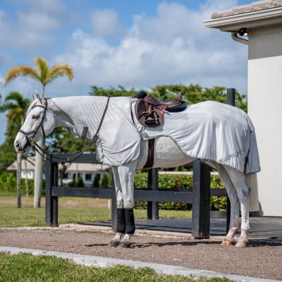 Horseware Flyrider insekt ridedækken.