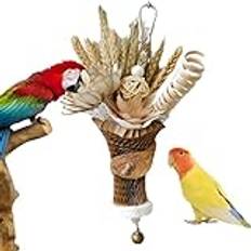 Dmuzsoih Papegojafågelleksaker,naturfågelleksaker | Wheat Ear Bukett Design Conure Toy - Tandsjukdomar, rolig tuggleksak för stora fåglar, tillbehör till burhäng, för aror afrikanska grå papegojor