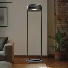 Lucande LED gulvlampe Auro, Sort, Stue/spisestue, Glas
