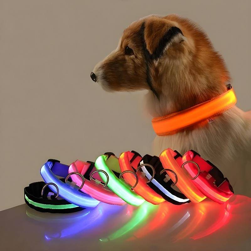 Hundhalsband Nylon LED Nattsäkerhet Blinkande Glow In The Dark Husdjur Hundkoppel sällskapsdjur Hundar Lysande fluorescerande hundtillbehör halsband