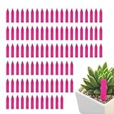 Växtetiketter - 5x1x1cm Vita växtetiketter, trädgårdsetiketter | 100 STK Nursery Garden Etiketter, Vattentäta Etiketter Krukmarkör, Plant Etikett Stakes Plant Markers, Trädgårdsetiketter Markers För s