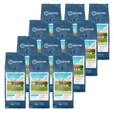 Kaffepro Morning Bloom - Kaffepaket: 12 x 500g Kaffebönor - 12 x 500g