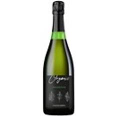Prosecco Extra Dry Bosco dei Cirmioli ØKO