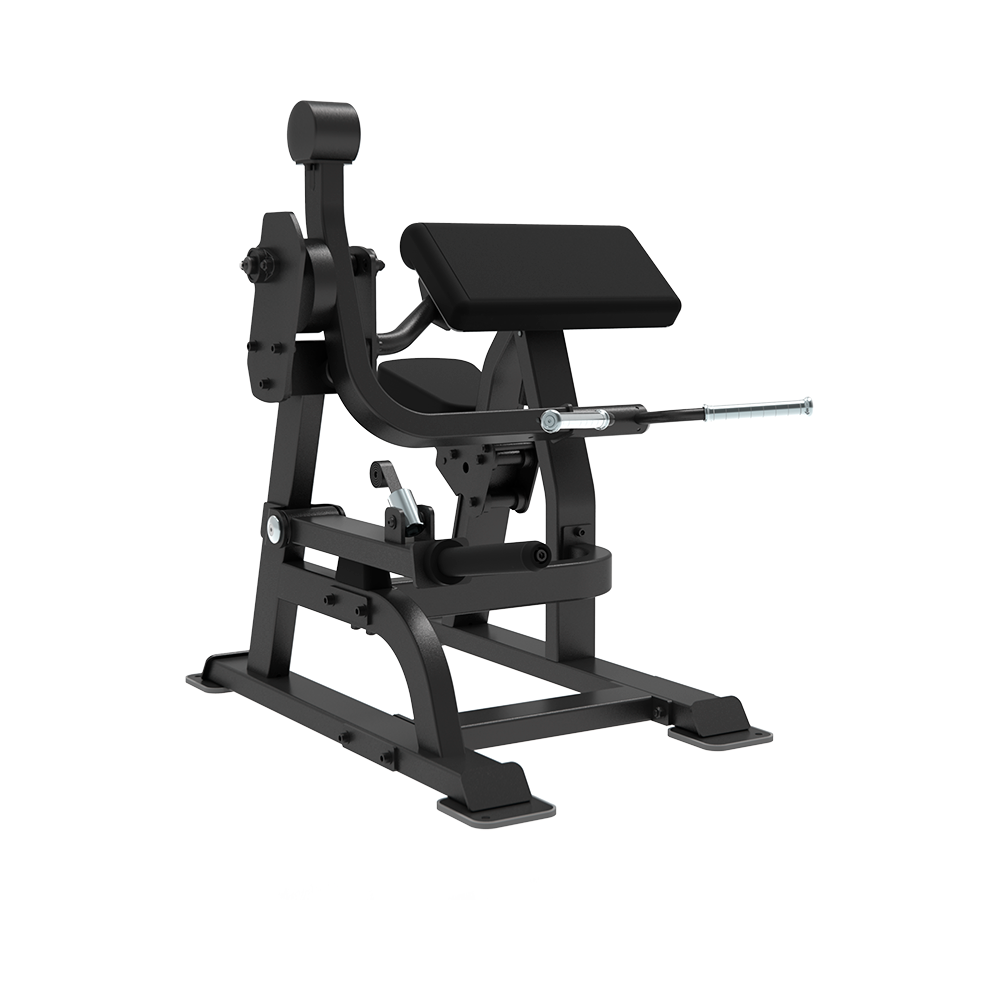 Impulse SL Biceps Curl.