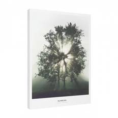 Estancia Tavla Canvas Green Nature Sunrise
