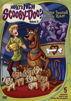 DVD - What's New Scooby-Doo - Vol 5: Som Hund Och Katt (Beg)