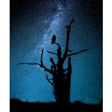 Alone In The Dark Poster 50x70 cm