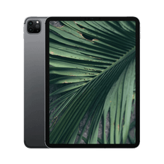 iPad Pro 2.Gen (2020) 11" WiFi + 4G