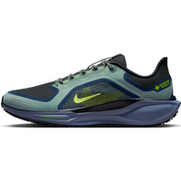 Nike Pegasus 41 GORE-TEX - Grön - 39