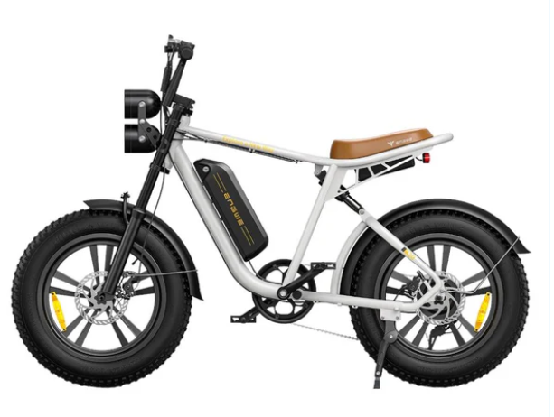 ENGWE M20.