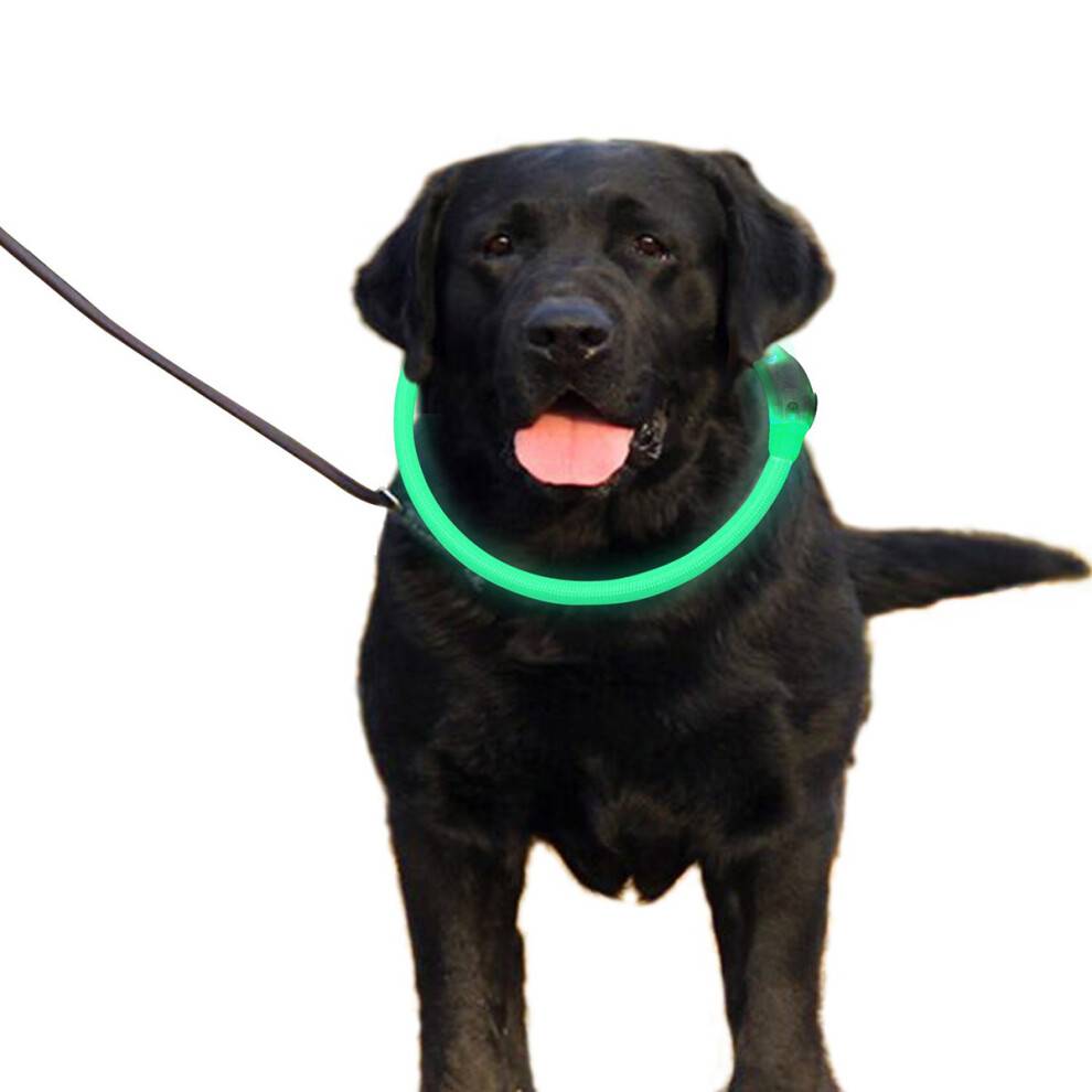 Nattesikkert halsbånd til hunde, genopladeligt halsbånd med lys til hunde, justerbar længde, tre lystilstande, vandtæt indvendigt design, ho