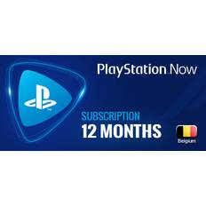 PlayStation Now: 12-Month Subscription BE