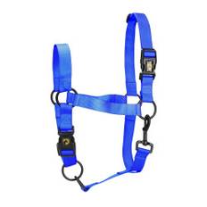 Utmärkt Horse Essential Grimma M Pony Blue