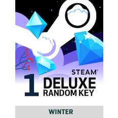 Winter Random 1 Key Deluxe - Steam Key - EUROPE