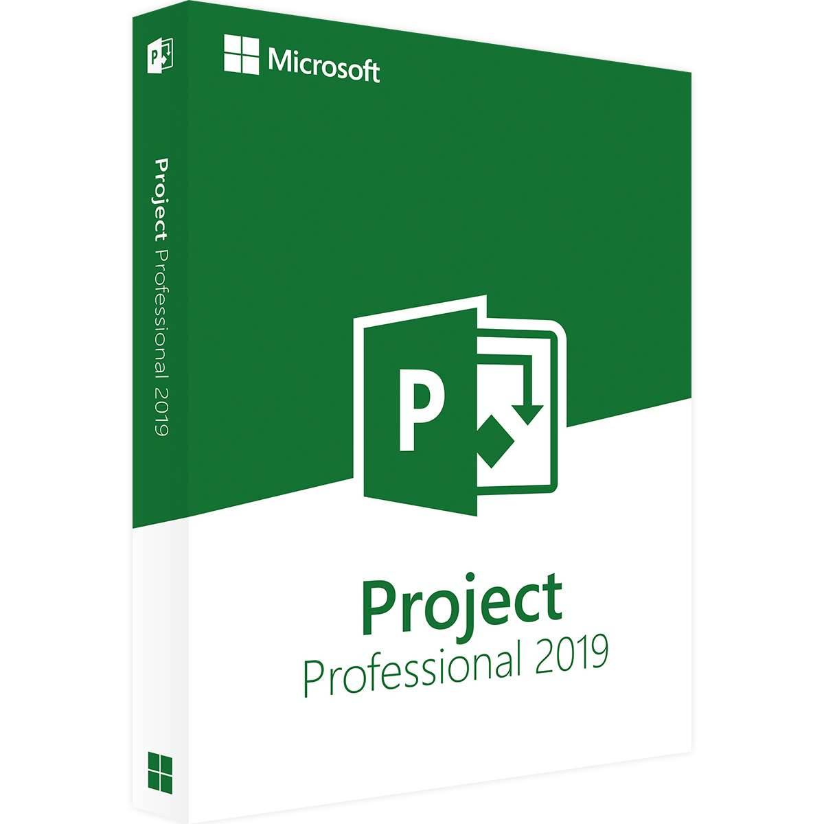 Microsoft Project Professional 2019 | Bind | Windows | 1 PC
