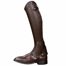Chaps Classic Brun (S)