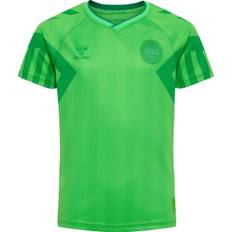 Hummel - DBU Danmark målmandstrøje 22 Børn - 116  - Grøn