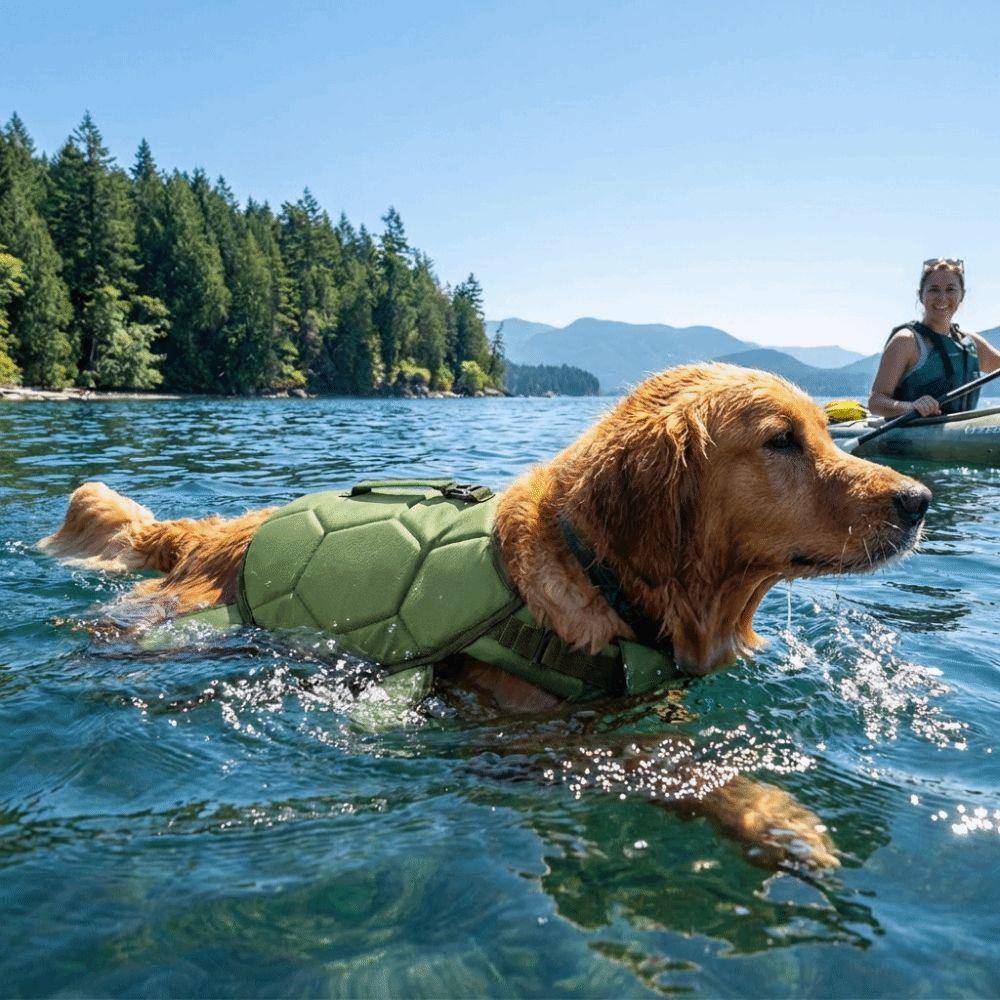 Söt sköldpaddsformad Husdjurslivväst Justerbart Bärhandtag Hundbadkläder Livräddare Reflekterande Hundsurfingkläder grön
