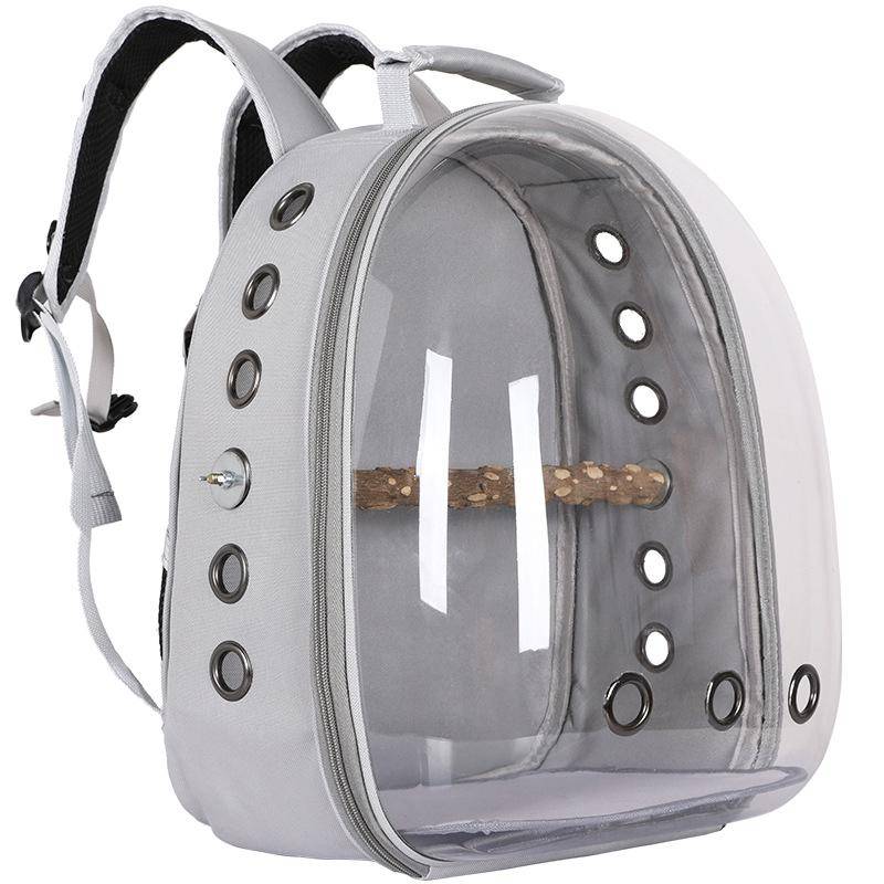 Fågelbur Panoramic Pet Ryggsäck Andas Ut Pet Bird Bag Go Out Bärbar Transparent Ryggsäck Husdjurstillbehör grön
