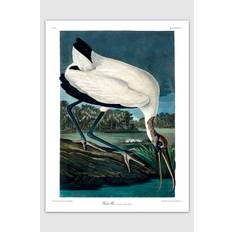The Dybdahl Co. - Affisch Wood Ibis - Vit
