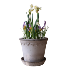 Bergs Potter - Københavner RAW Grå - Flere størrelser - Ø16 cm