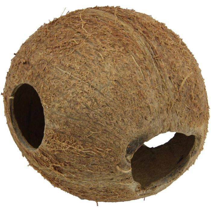 JBL Cocos Cava 1/1