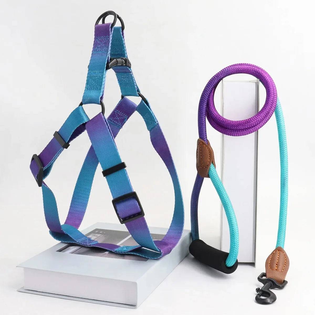 Small Dog Chest Harness with Leash Set - Puppy Training Kit - Purple-Blue / L (L)