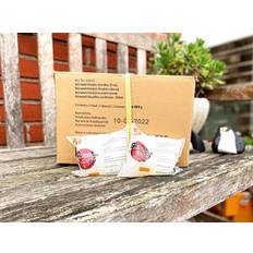 Konjac shirataki kaloriefattige fine nudler 1 kasse (20 stk.) - Shirataki nudler