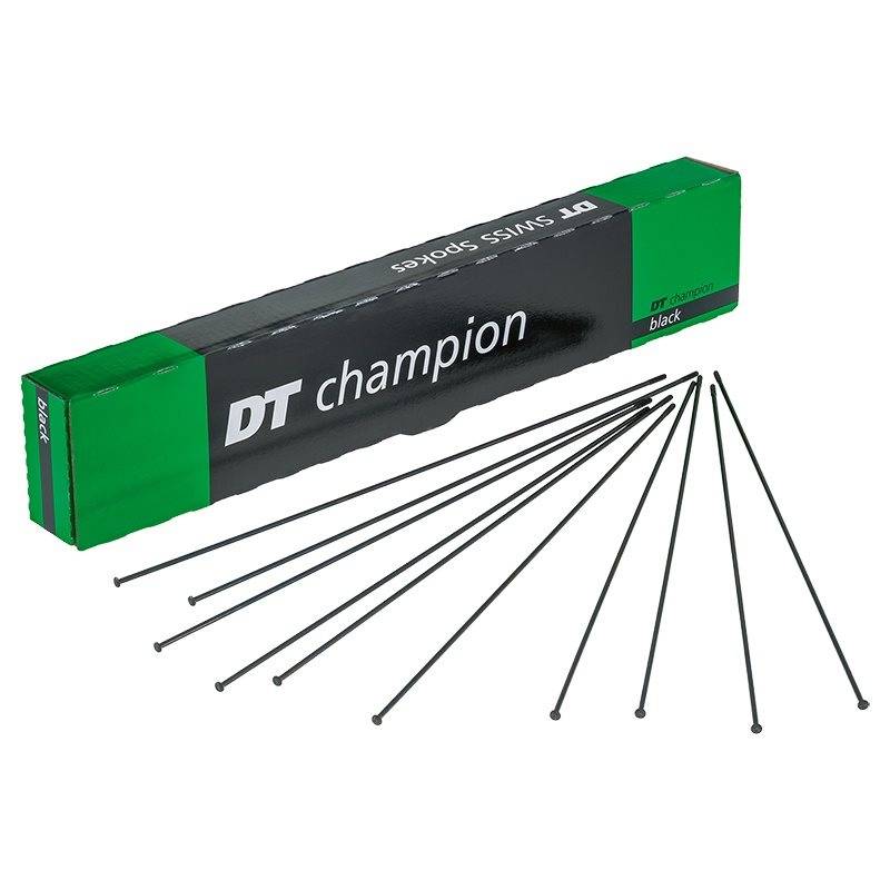 Eger DT Swiss Champion 1-ST Straightpull Rund Black.