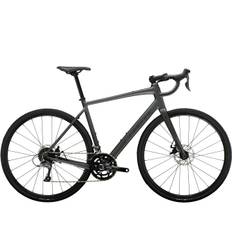 Racer Trek Domane AL 2 Gen 4 Grå 61 2024