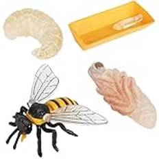 Huhudyy Pack med 4 insekter figurer livstid cykel honungsbiet realistiska insekter figurer leksak pedagogisk modell leksak