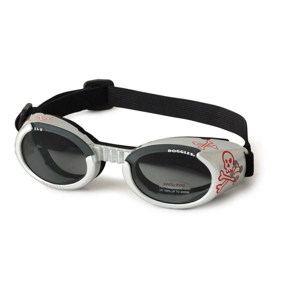 Hundglasögon ILS - Silver Skull / Smoke Lens (l)