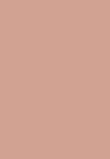 ROUGE A LEVRES SUPER LUSTROUS MAT - Läppstift - 003 pick me up