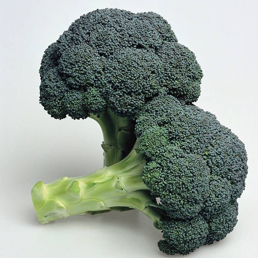 Broccoli 'Ironman' F1